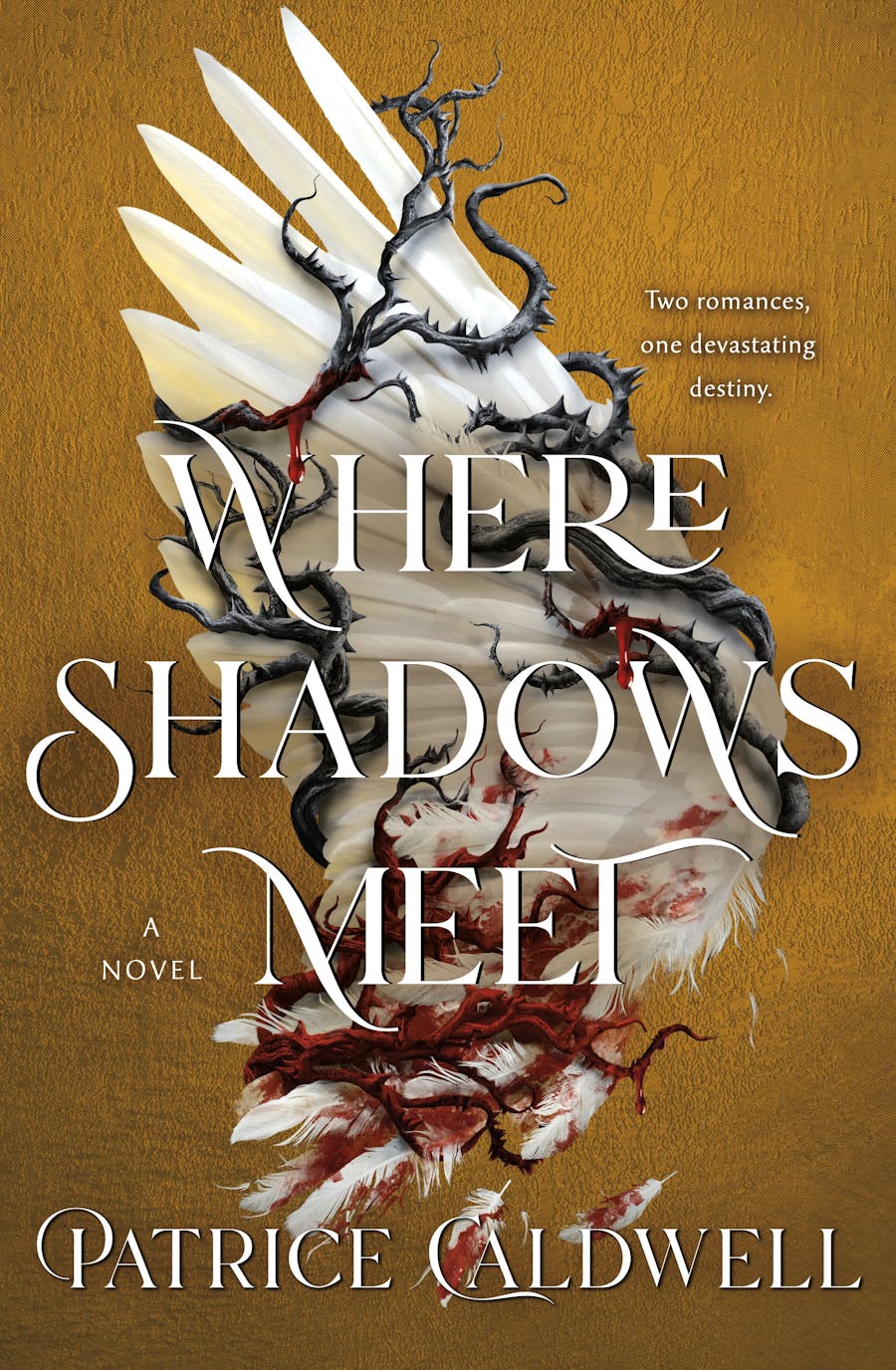 Where Shadows Meet - Patrice Caldwell