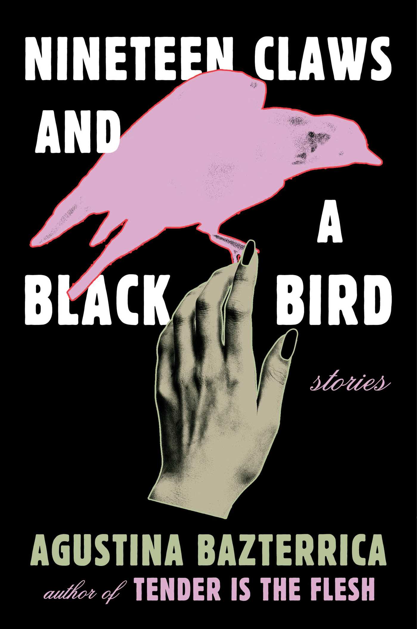 Nineteen Claws and a Black Bird - Agustina Bazterrica