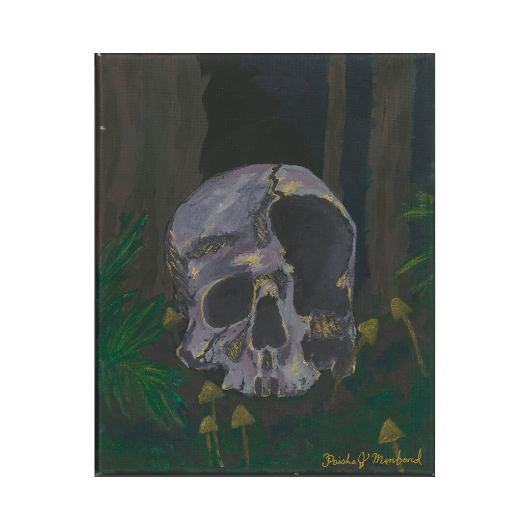 Paisha Paints - Large Prints