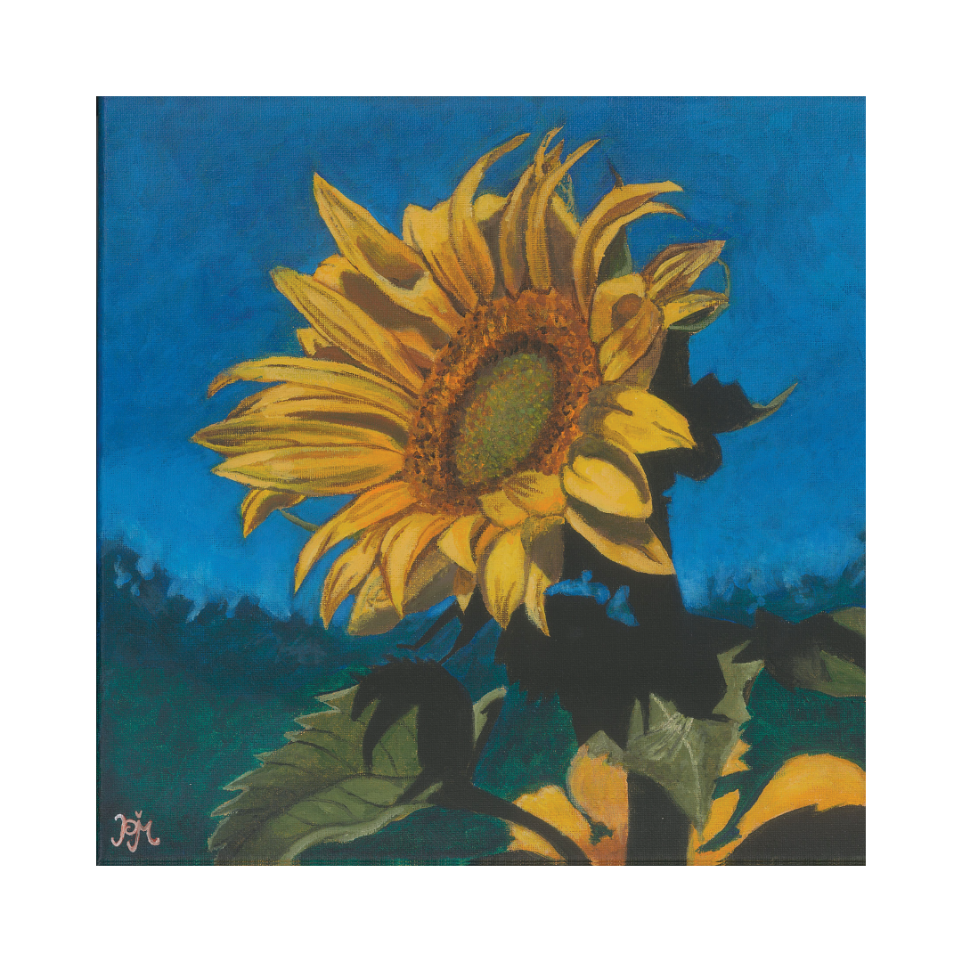 Paisha Paints - Large Prints