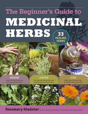 Medicinal Herbs: A Beginner's Guide