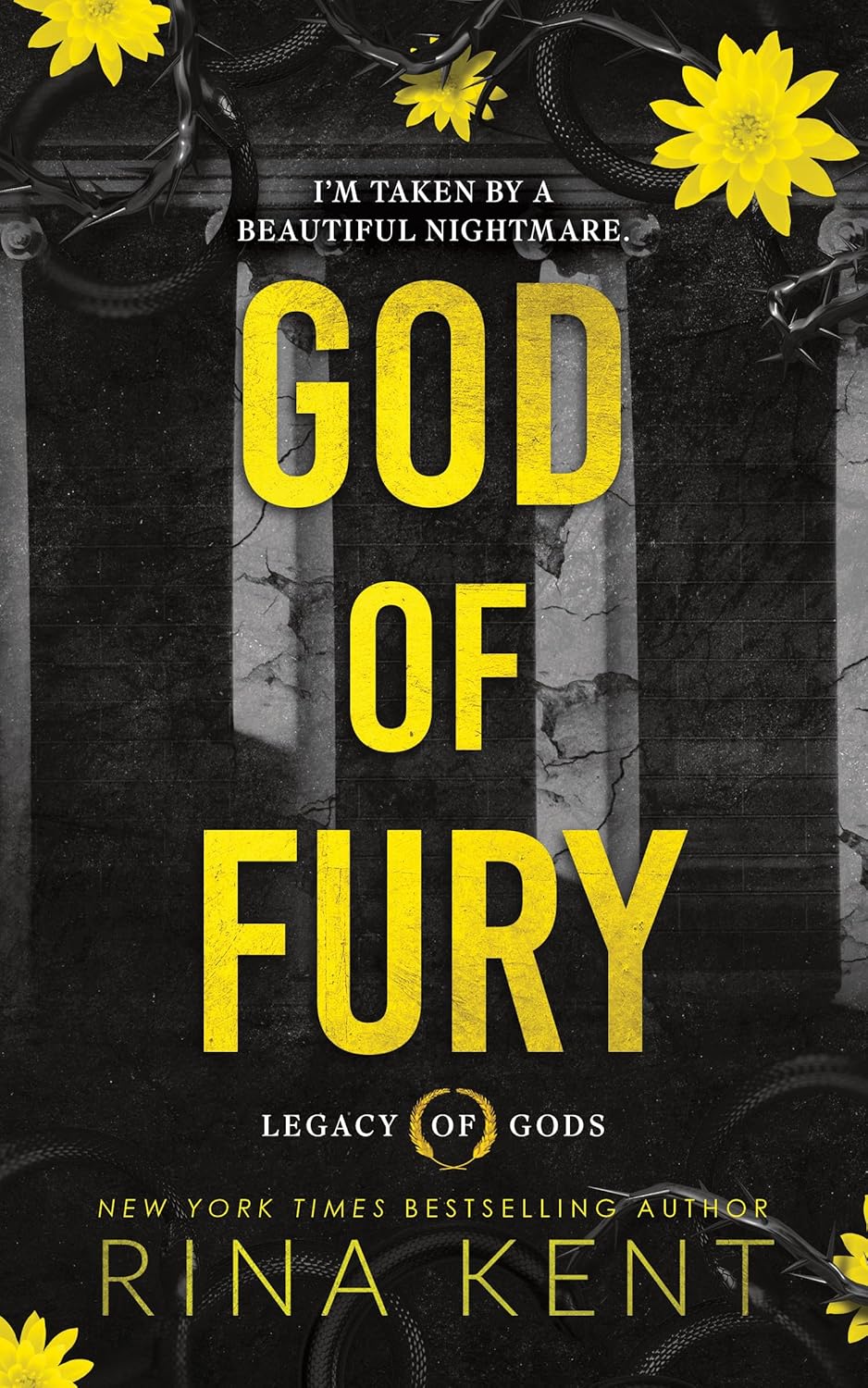 God of Fury - Rina Kent