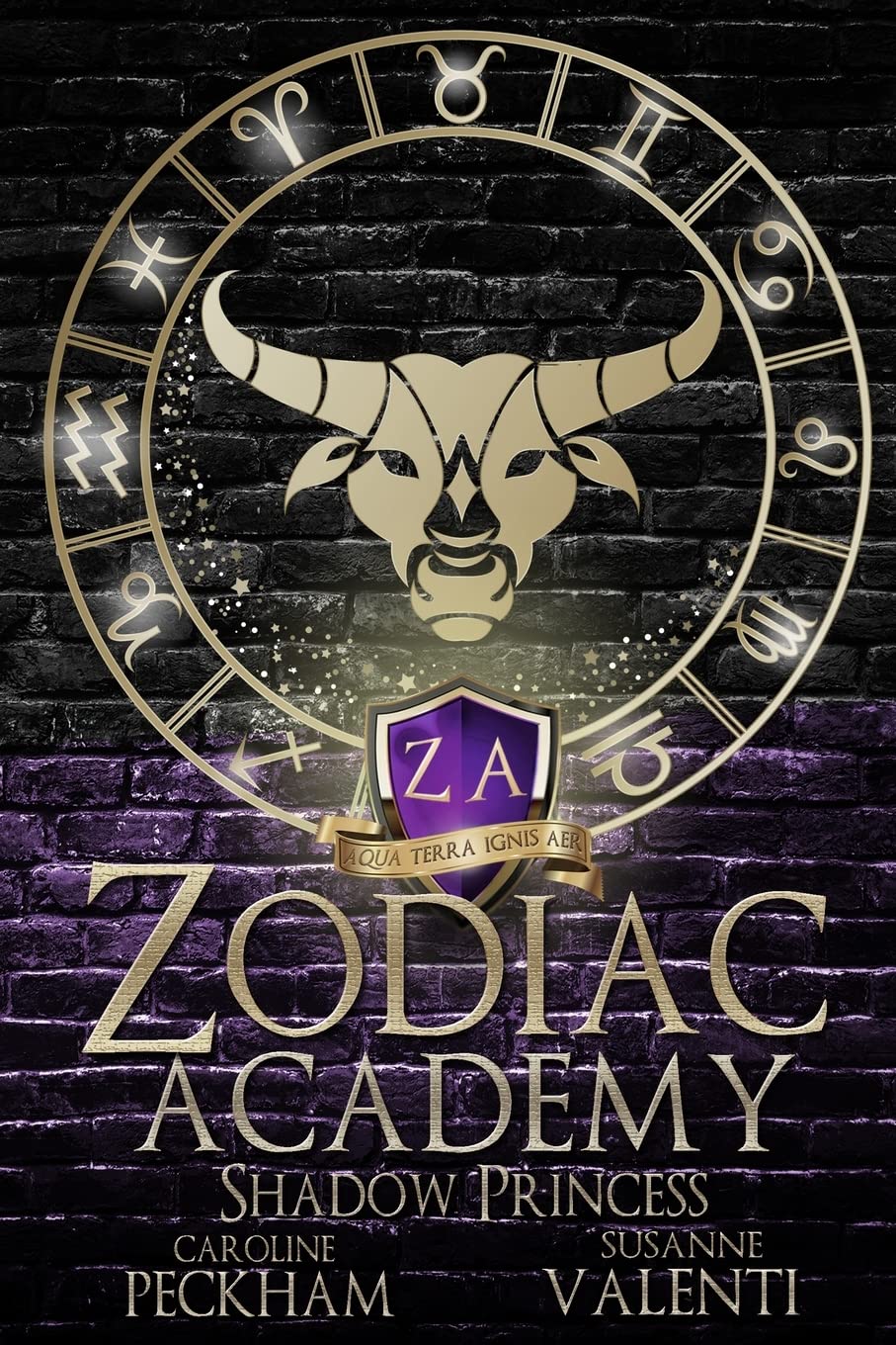 Zodiac Academy: Shadow Princess - Caroline Peckham, Susanne Valenti