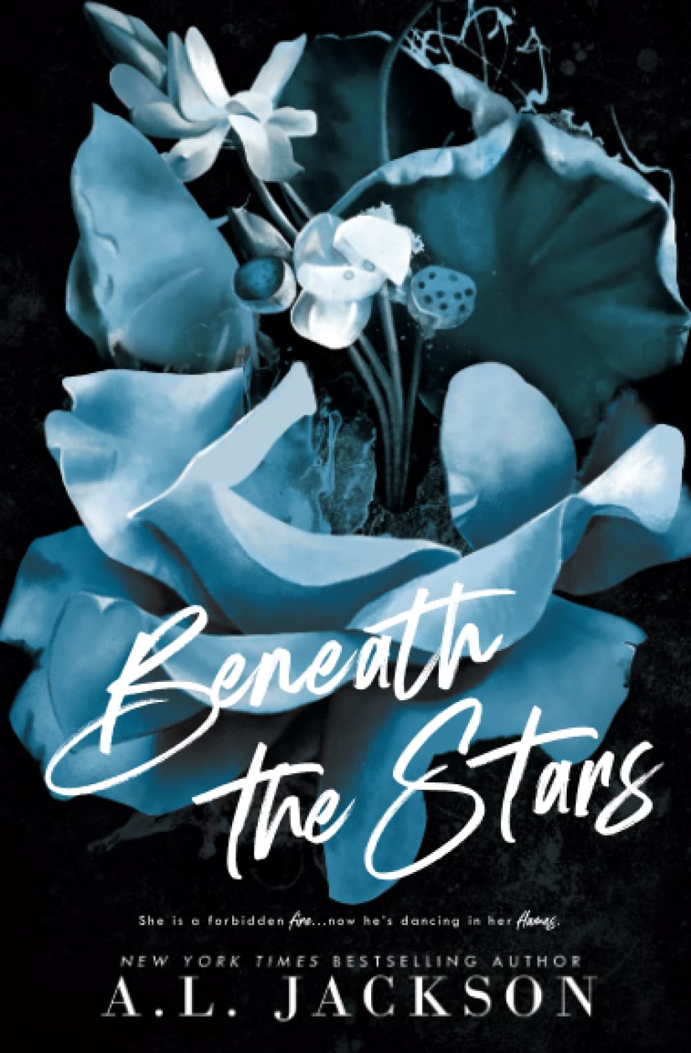 Beneath The Stars - A.L. Jackson