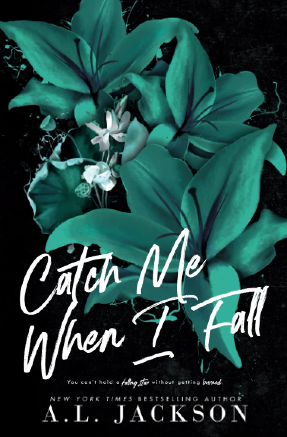Catch Me When I Fall - A.L. Jackson