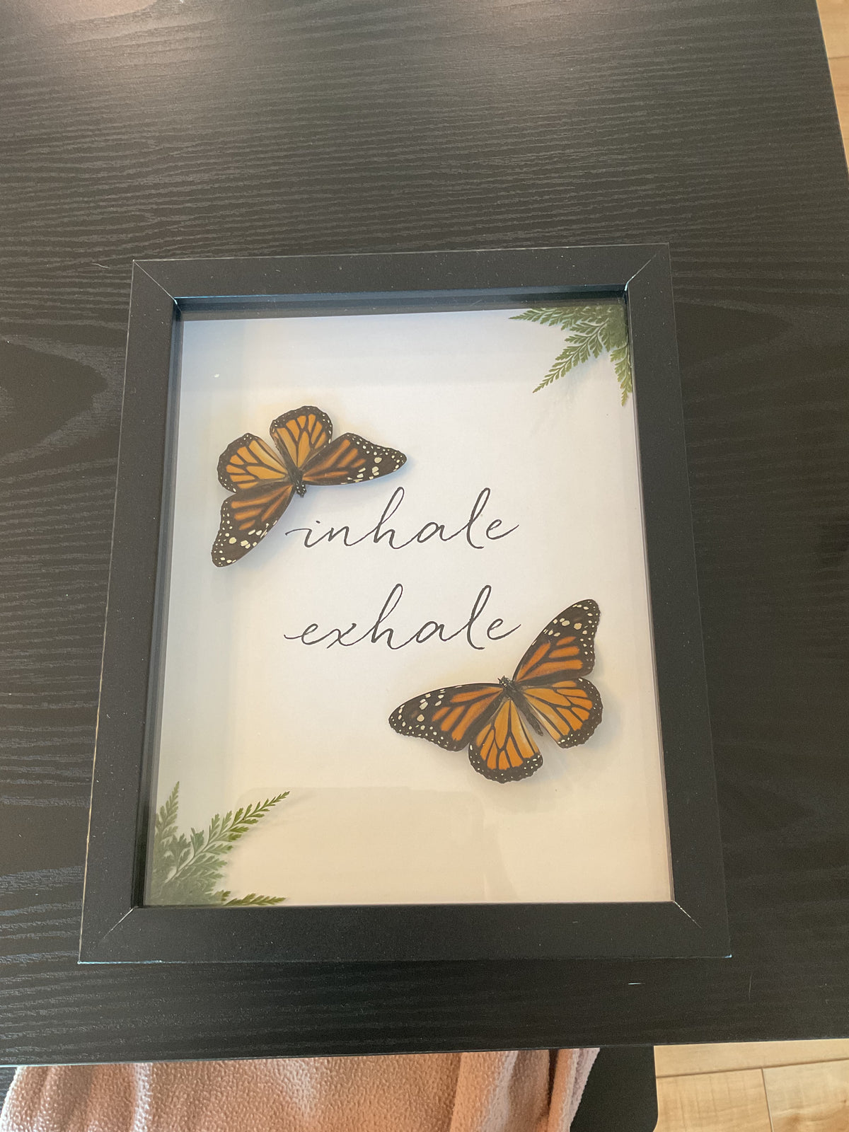 Monarch Butterflies