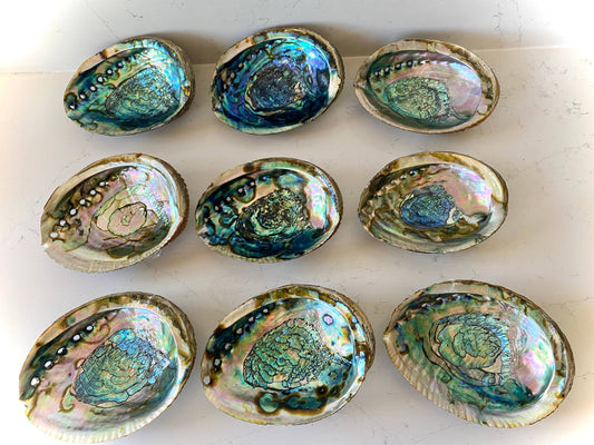 Abalone Shell Smudge Bowls