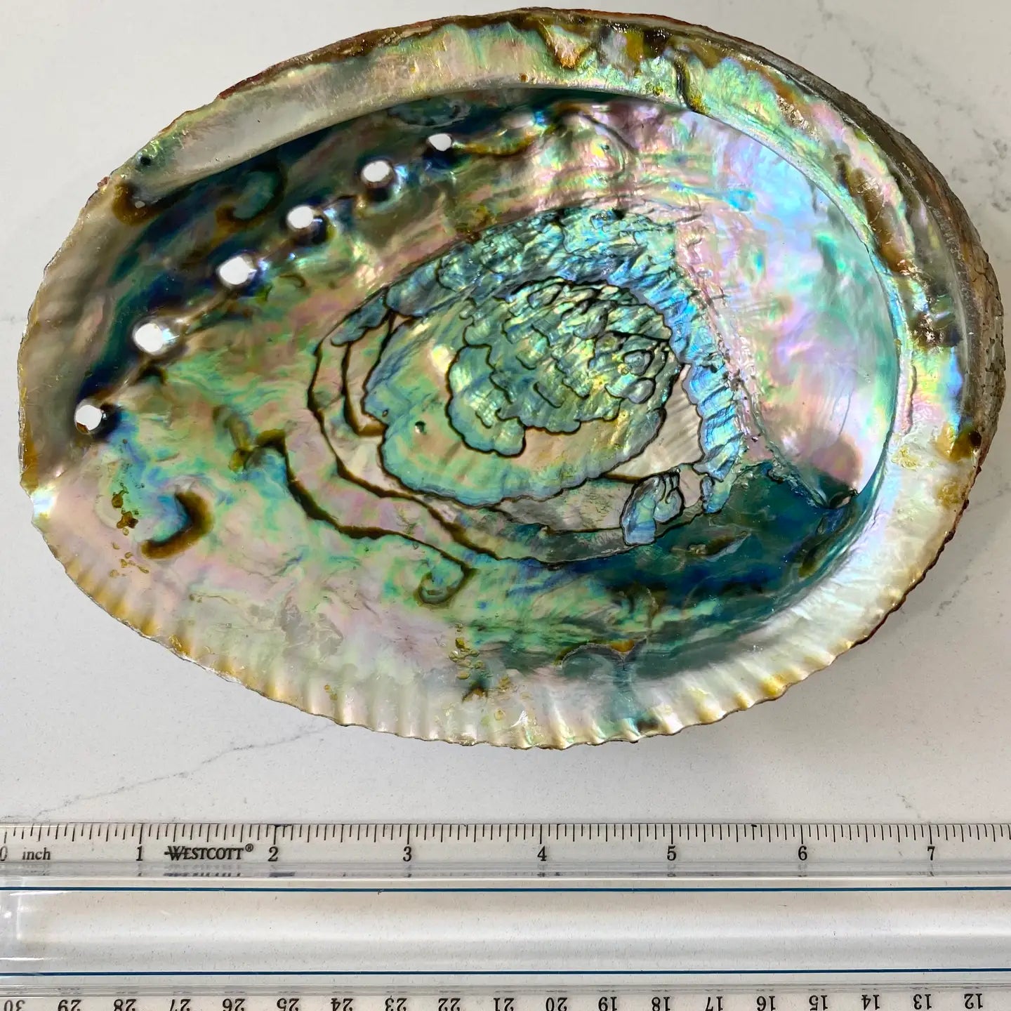Abalone Shell Smudge Bowls